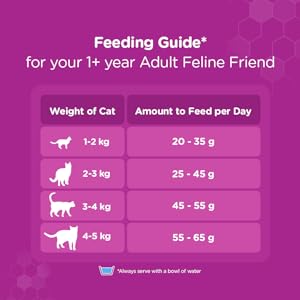 Feeding guide