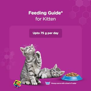 Feeding Guide