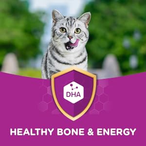 Healthy bone