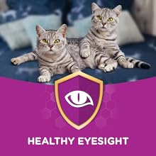 Healthy Eyesight