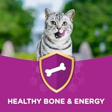 healthy Bone & Energy