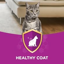 Adult Healthy coat