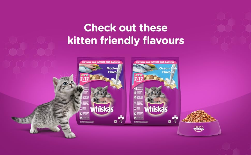 Flavours available for kitten 