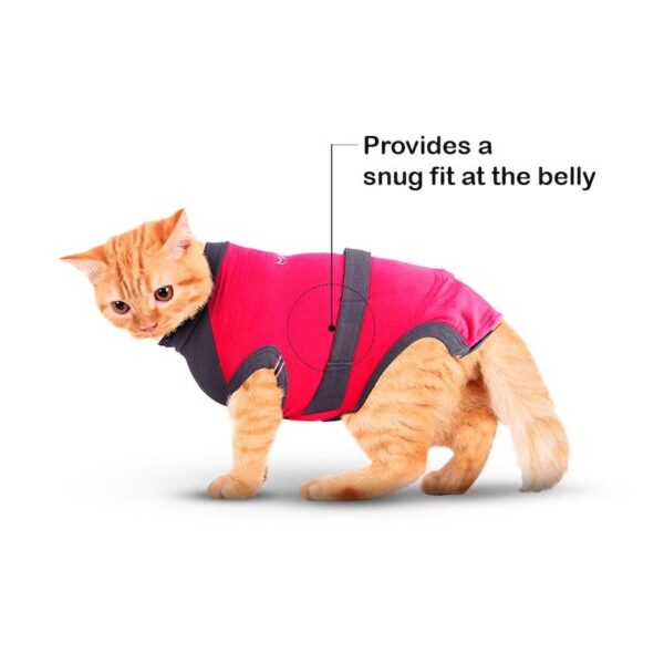 MAXX Cat Post Surgery Suit  Breathable Cat Onesie Surgical Recovery Suit for Wounds  E-Collar Alternative (S, Pink Grey)