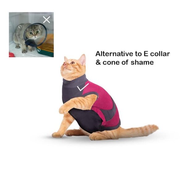 MAXX Cat Post Surgery Suit  Breathable Cat Onesie Surgical Recovery Suit for Wounds  E-Collar Alternative (S, Pink Grey)