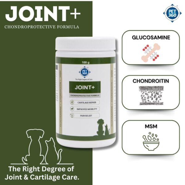 PET360 Joint+ Chondroprotective Formula – 100 gm | Hip, Joints, Cartilage Supplement for Dogs & Cats for Improved Mobility & Pain Relief with Glucosamine, Chondroitin, MSM | Suitable for All Breeds