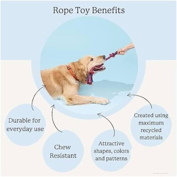 Tail Dog Toys + Dog Chew Toys + Puppy Teething Toys + Rope Dog Toy + Dog Toys for Small to Medium Dog Toys + Dog Toy Pack + Tug Toy + Dog Toy Set + Washable Cotton Rope for Dogs (Pack of 12)