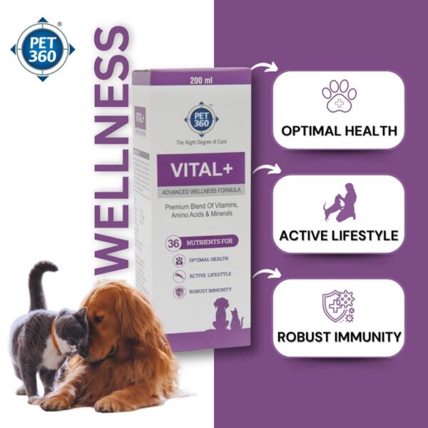 Vital+ Advanced Wellness Formula for Dogs & Cats | Multivitamin Syrup for Healthy Skin, Joints & Boosted Immunity | Nutritional Supplement with Vitamins & Minerals for Enhanced Growth – 200 ml