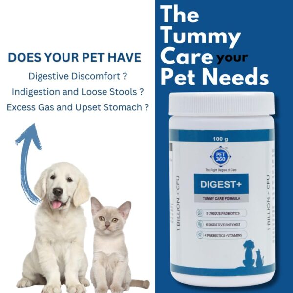 Digest+ Tummy Care Formula | Gut Health Supplement for Dogs & Cats | Probiotics, Prebiotics, Digestive Enzymes & Vitamins for Improved Digestion & Immunity | Suitable for All Breeds – 100 gm