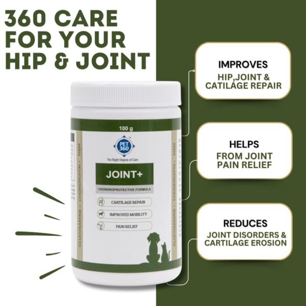 PET360 Joint+ Chondroprotective Formula – 100 gm | Hip, Joints, Cartilage Supplement for Dogs & Cats for Improved Mobility & Pain Relief with Glucosamine, Chondroitin, MSM | Suitable for All Breeds