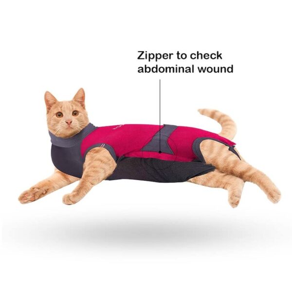 MAXX Cat Post Surgery Suit  Breathable Cat Onesie Surgical Recovery Suit for Wounds  E-Collar Alternative (S, Pink Grey)