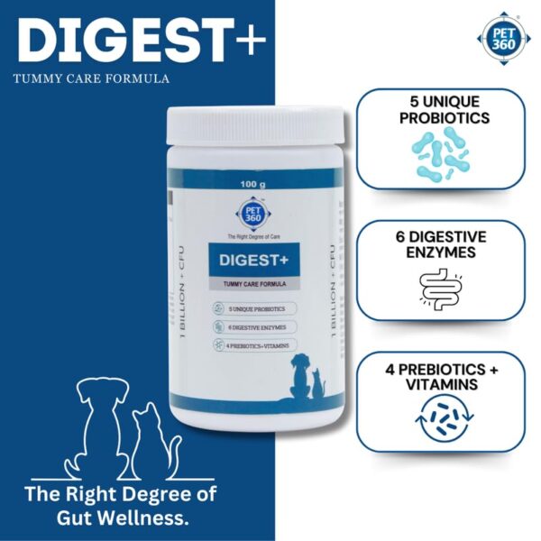 Digest+ Tummy Care Formula | Gut Health Supplement for Dogs & Cats | Probiotics, Prebiotics, Digestive Enzymes & Vitamins for Improved Digestion & Immunity | Suitable for All Breeds – 100 gm