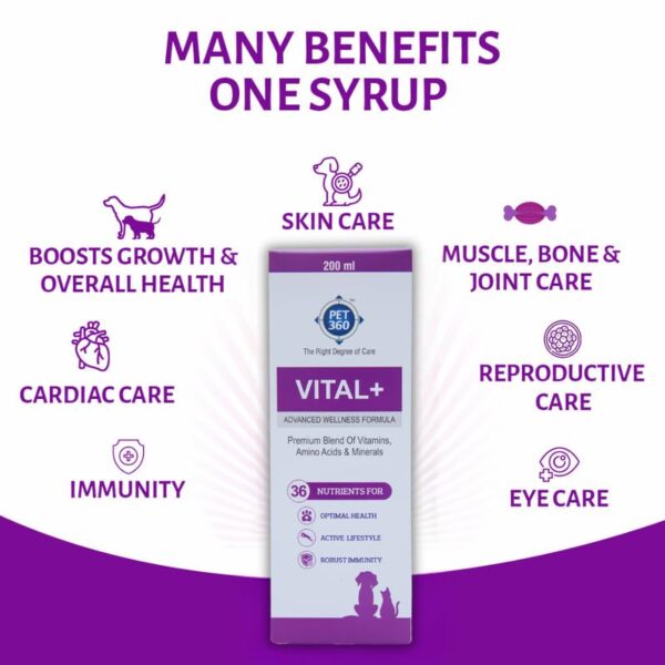 Vital+ Advanced Wellness Formula for Dogs & Cats | Multivitamin Syrup for Healthy Skin, Joints & Boosted Immunity | Nutritional Supplement with Vitamins & Minerals for Enhanced Growth – 200 ml
