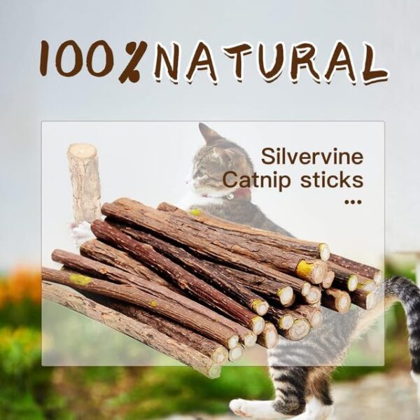 Emily Pets 15PCS Silvervine Sticks, Matatabi Dental Sticks Cat Toys, Cat Chew Stick Catnip Toys, Silver Vine Kitty Chew Toys for Indoor Cats