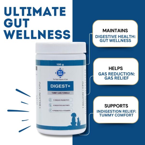 Digest+ Tummy Care Formula | Gut Health Supplement for Dogs & Cats | Probiotics, Prebiotics, Digestive Enzymes & Vitamins for Improved Digestion & Immunity | Suitable for All Breeds – 100 gm