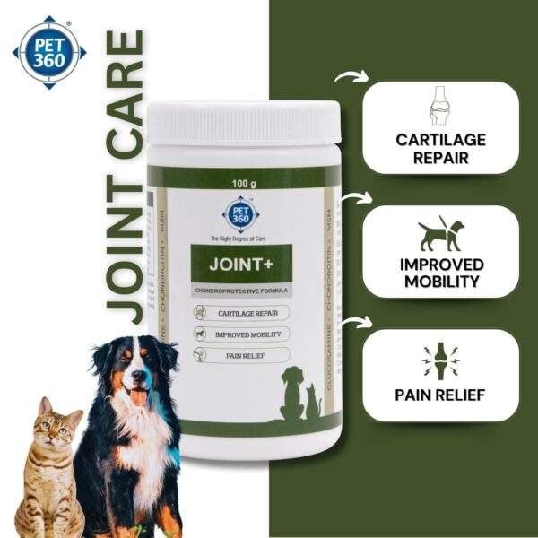 PET360 Joint+ Chondroprotective Formula – 100 gm | Hip, Joints, Cartilage Supplement for Dogs & Cats for Improved Mobility & Pain Relief with Glucosamine, Chondroitin, MSM | Suitable for All Breeds