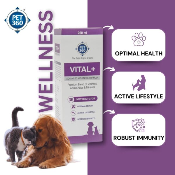 Vital+ Advanced Wellness Formula for Dogs & Cats | Multivitamin Syrup for Healthy Skin, Joints & Boosted Immunity | Nutritional Supplement with Vitamins & Minerals for Enhanced Growth – 200 ml