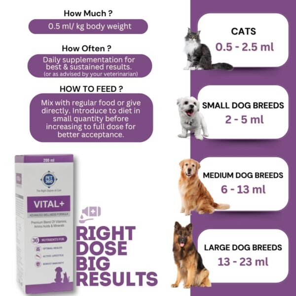 Vital+ Advanced Wellness Formula for Dogs & Cats | Multivitamin Syrup for Healthy Skin, Joints & Boosted Immunity | Nutritional Supplement with Vitamins & Minerals for Enhanced Growth – 200 ml