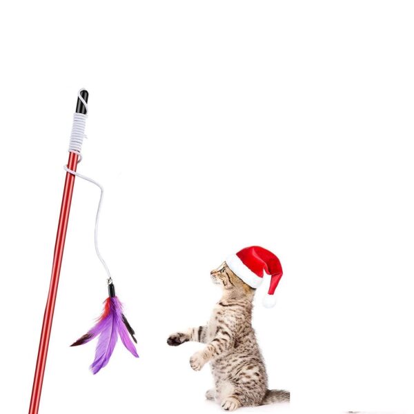 Cat Retractable Bell Teaser Wand Toy, Interactive Natural Feather Cat Kitten Toy