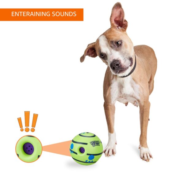 amazon basics Interactive Sound Ball Toy for Dogs and Puppies| Fun Squeaky Sounds | Pet-Safe Materials| Suitable for All Dog Breeds | Size – Large