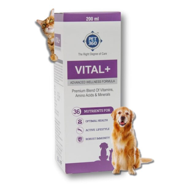 Vital+ Advanced Wellness Formula for Dogs & Cats | Multivitamin Syrup for Healthy Skin, Joints & Boosted Immunity | Nutritional Supplement with Vitamins & Minerals for Enhanced Growth - 200 ml