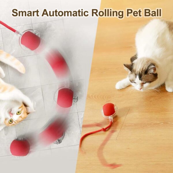 Interactive Cat Ball Toy, 2024 New Automatic Moving Dog Cat Balls, Premium Smart Self Rolling Cat Ball Kitty Toys USB Rechargeable, Cat Enrichment Toys for Bored Indoor Cats Dogs