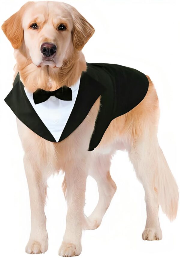 Puptail cotton Dog Suit or Dog Tuxedo and Bandana Set, Dogs Wedding Party Suit, Dog Wedding Bow Tie Shirt Formal Dog Weeding Attire Large and Medium Dogs Golden Retriever, Labrador (Large, 1 count)