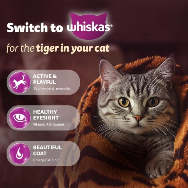 Whiskas Junior Mother Cat & Kitten (2-12 Months) Dry Cat Food, Ocean Fish Flavour, 1.1 kg, Contains 41 Essential Nutrients, Complete & Balanced Nutrition for Mother Cats & Kittens