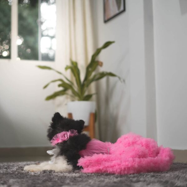 Puptail Dog Dress with Lovely Dog Bandana Dog Cloths for Medium Dogs and Large Dogs Like Shish tzu, Labrador, Golden Retriever, Pug and Cat Cloths. (M, Pink)