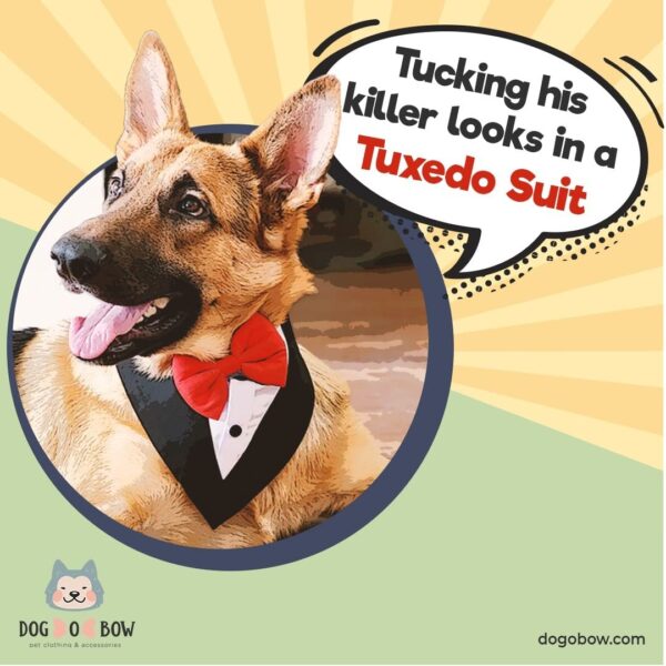 Dog-O-Bow Tuxedo Bandana for Dogs (L, Black)