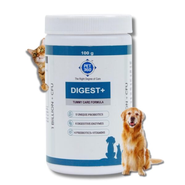 Digest+ Tummy Care Formula | Gut Health Supplement for Dogs & Cats | Probiotics, Prebiotics, Digestive Enzymes & Vitamins for Improved Digestion & Immunity | Suitable for All Breeds - 100 gm