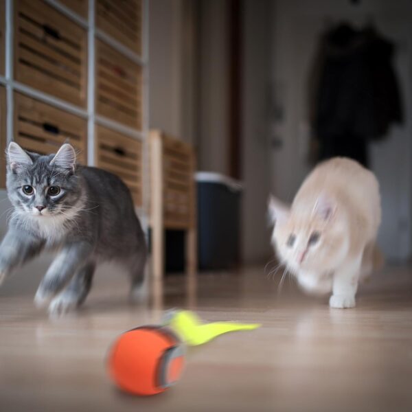 Speedy Tail 2.0, Speedy Tail Cat Toy, 2025 New Generation Interactive Cat Toy, Automatic Moving Cat Toy Ball with Tail, Smart Interactive Cat Toy Ball, Two Speed Adjustment(Blue)