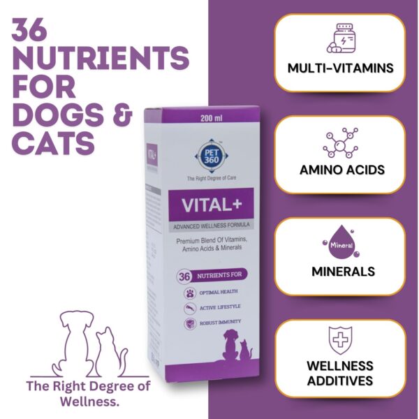 Vital+ Advanced Wellness Formula for Dogs & Cats | Multivitamin Syrup for Healthy Skin, Joints & Boosted Immunity | Nutritional Supplement with Vitamins & Minerals for Enhanced Growth – 200 ml