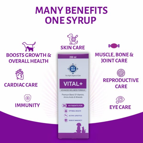 Vital+ Advanced Wellness Formula for Dogs & Cats | Multivitamin Syrup for Healthy Skin, Joints & Boosted Immunity | Nutritional Supplement with Vitamins & Minerals for Enhanced Growth – 200 ml