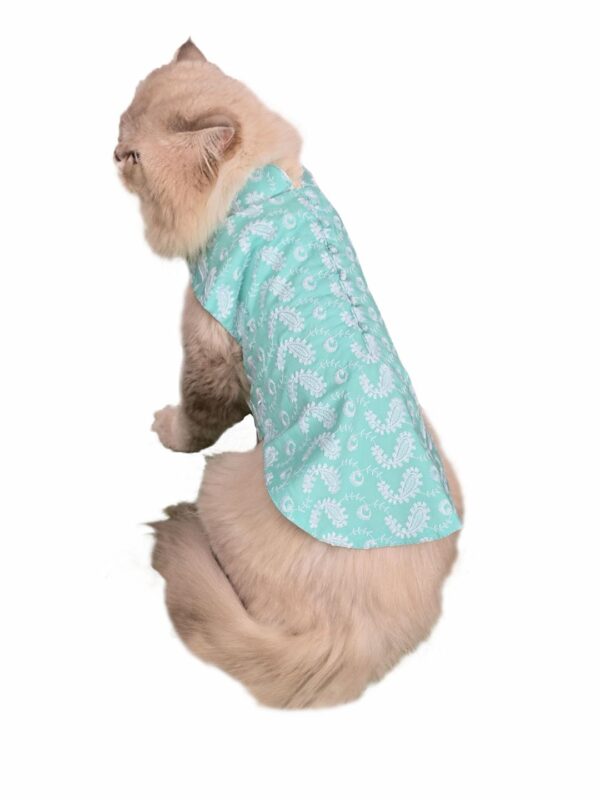 Vastramay Cats' Pure Cotton Green Chikankari Kurta | Classic Lucknowi Chikankari Kurta for Cat