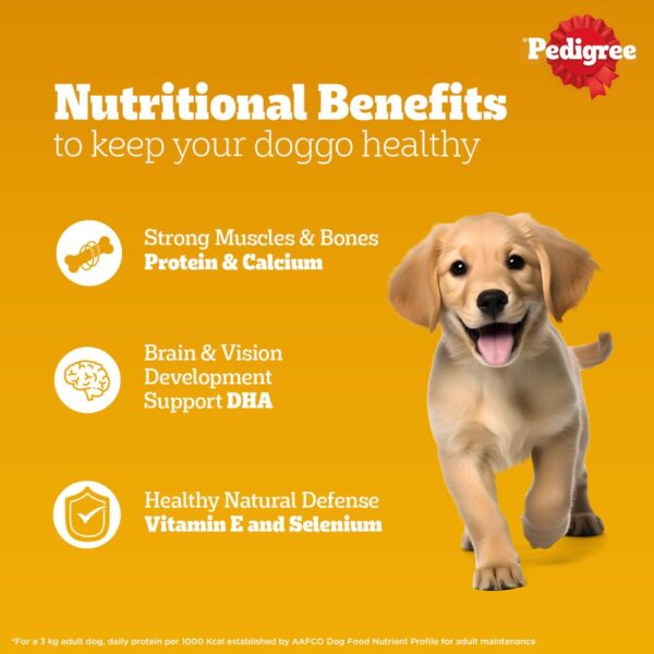 Pedigree Puppy Wet Dog Food, Chicken in Gravy with Vegetables, 15 Pouches (15 x 70g)