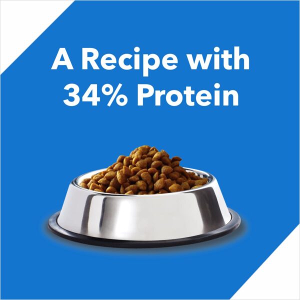 Drools Kitten(1-12 months) Dry Cat Food, Ocean Fish – 4kg (3kg + 1kg Free Food Inside)