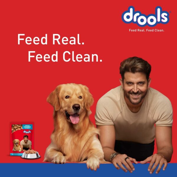 Drools Adult Wet Dog Food, Real Chicken and Chicken Liver Chunks in Gravy,2.25 Kg (150g x 15) Pack of 15
