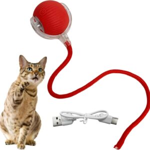 PLLCJB Interactive Rolling Dog Ball, 2025 New Electric Cat Toy,360 Smart Automatic Rolling Pet Ball, Fast Moving Toy for Dog and Cat