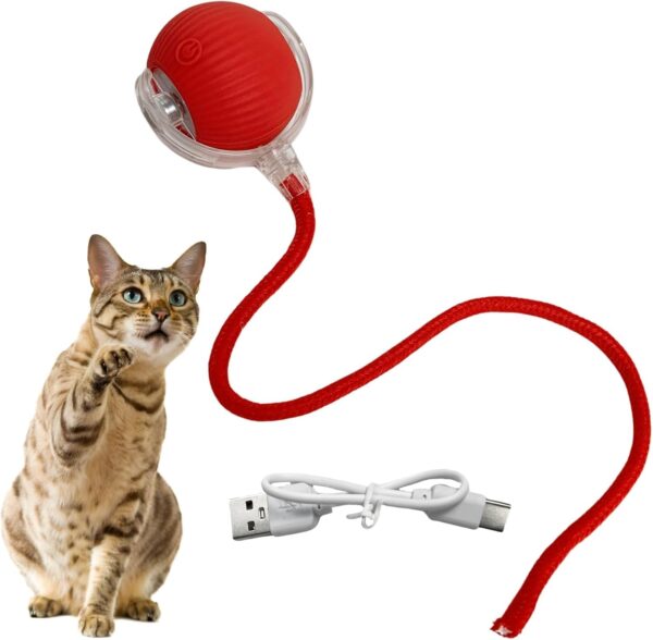 PLLCJB Interactive Rolling Dog Ball, 2025 New Electric Cat Toy,360 Smart Automatic Rolling Pet Ball, Fast Moving Toy for Dog and Cat