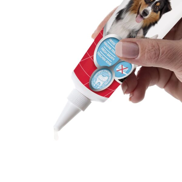 Beaphar Tooth Gel Dog/Cat, 100 Gram