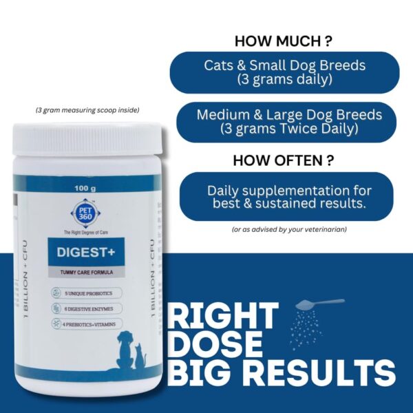 Digest+ Tummy Care Formula | Gut Health Supplement for Dogs & Cats | Probiotics, Prebiotics, Digestive Enzymes & Vitamins for Improved Digestion & Immunity | Suitable for All Breeds – 100 gm