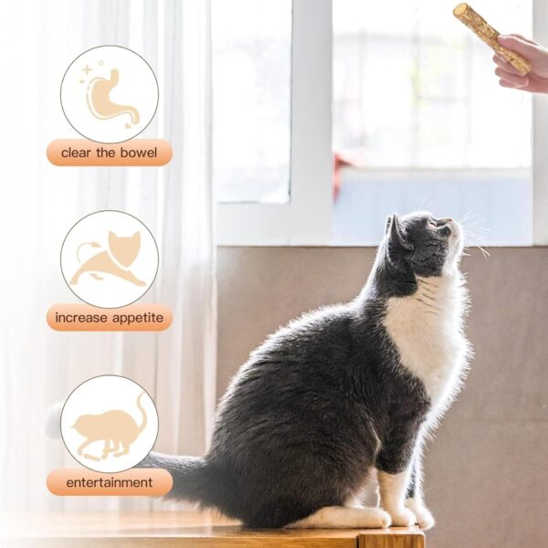 Emily Pets 15PCS Silvervine Sticks, Matatabi Dental Sticks Cat Toys, Cat Chew Stick Catnip Toys, Silver Vine Kitty Chew Toys for Indoor Cats