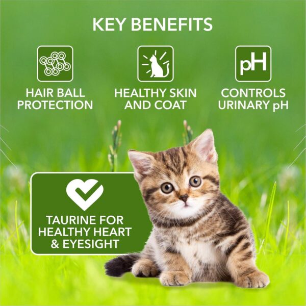 Meat Up Kitten(1-12 months) Dry Cat Food, Ocean Fish, 1.2kg (Buy 1 Get 1 Free)