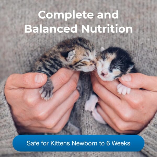 Pet-Ag KMR Kitten Milk Replacer Powder – 6 oz – Powdered Kitten Formula with Prebiotics, Probiotics & Vitamins for Kittens Newborn to Six Weeks Old – Easy to Digest