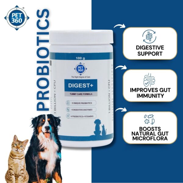 Digest+ Tummy Care Formula | Gut Health Supplement for Dogs & Cats | Probiotics, Prebiotics, Digestive Enzymes & Vitamins for Improved Digestion & Immunity | Suitable for All Breeds – 100 gm