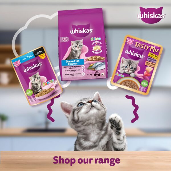 Whiskas Wet Food for Kittens (2-12 Months), Tuna in Jelly Flavour, 12 Pouches (12 x 85g)
