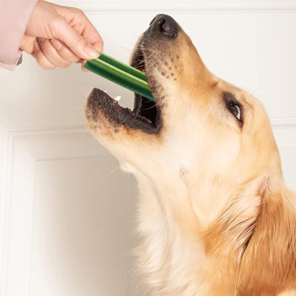 Goofy Tails Active Dental Sticks, Dog Treats Vegetarian, Dental Sticks for Dogs, Chew Sticks for Dogs, Dog Treats for Adult Dog and Puppies, Dog Chew Stick (Seaweed, 220g) (Pack of 1)