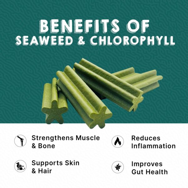 Goofy Tails Active Dental Sticks, Dog Treats Vegetarian, Dental Sticks for Dogs, Chew Sticks for Dogs, Dog Treats for Adult Dog and Puppies, Dog Chew Stick (Seaweed, 220g) (Pack of 1)