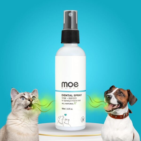 Moe Dental Spray for Dogs and Cats - Oral Spray for Dog Controls Plaque & Tartar, Freshens Breath | Aloe Vera, Grapeseed, Thyme | Dog Dental Care (100 ML)